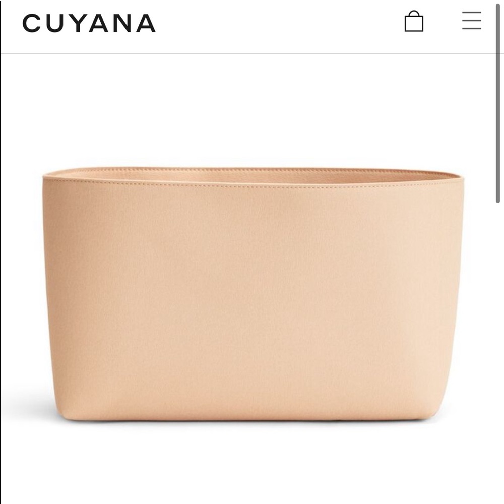 Cuyana Small Tote Organizer